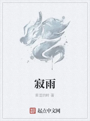 《寂雨》小说封面