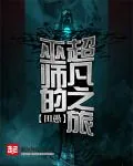 《巫师的超凡之旅》小说封面