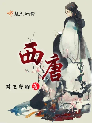 《西唐春》小说封面