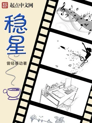 《稳星》小说封面