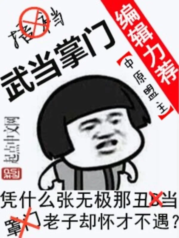 《武当掌门》小说封面