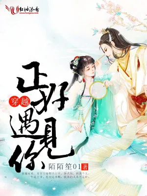 《穿越正好遇见你》小说封面