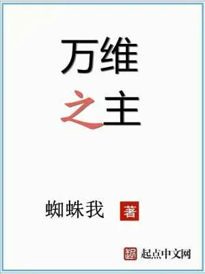 《万维之主》小说封面