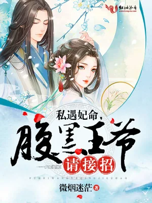 《私遇妃命，腹黑王爷请接招》小说封面