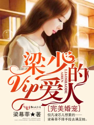 《完美婚宠:梁少的VIP爱人》小说封面