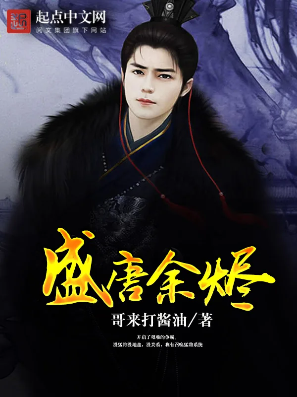 《盛唐余烬》小说封面
