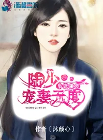 《枭妻来袭:陆少宠妻无度》小说封面
