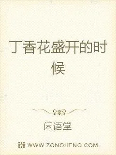 《丁香花盛开的时候》小说封面