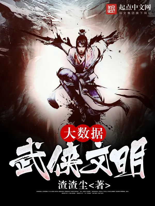 《大数据武侠文明》小说封面