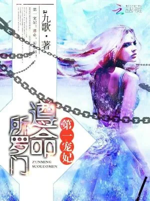 《第一宠妃：遵命，所罗门！》小说封面