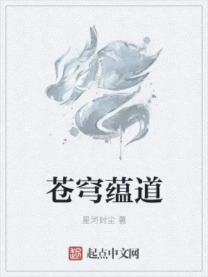《苍穹蕴道》小说封面