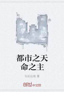 《都市之天命之主》小说封面