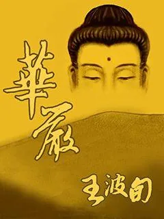《华严》小说封面