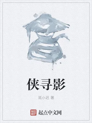 《侠影见风》小说封面