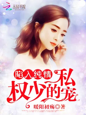 《陷入纯情:权少的私宠》小说封面