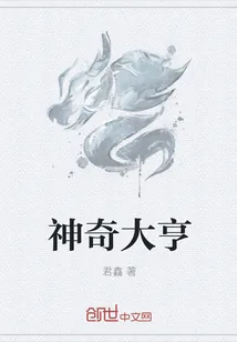 《神奇大亨》小说封面