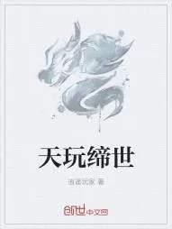 《天玩缔世》小说封面