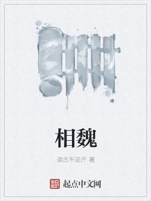 《相魏》小说封面
