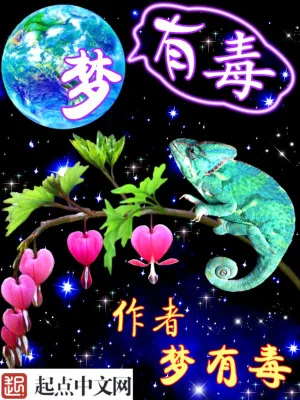 《梦有毒》小说封面