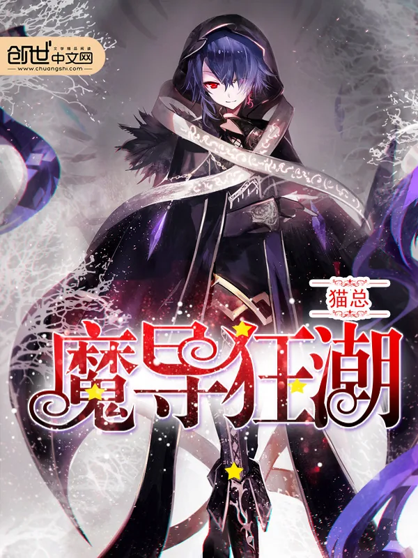 《魔导狂潮》小说封面