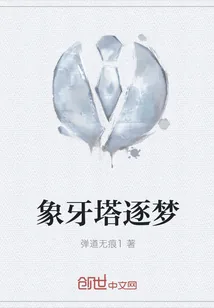 《象牙塔逐梦》小说封面