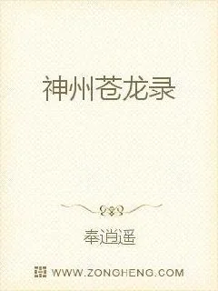《神州苍龙录》小说封面