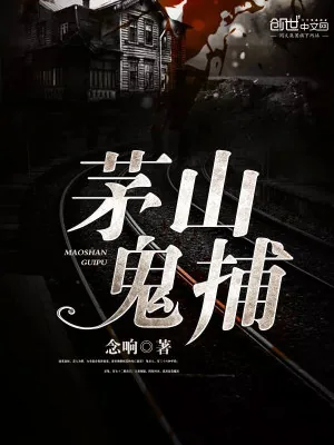 《茅山鬼捕》小说封面