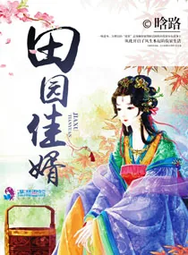 《田园佳婿》小说封面