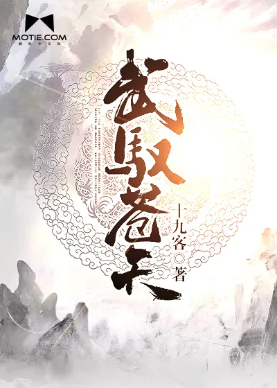 《武驭苍天》小说封面