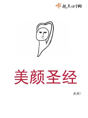 《美颜圣经》小说封面