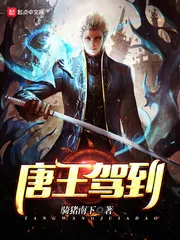 《唐王驾到》小说封面