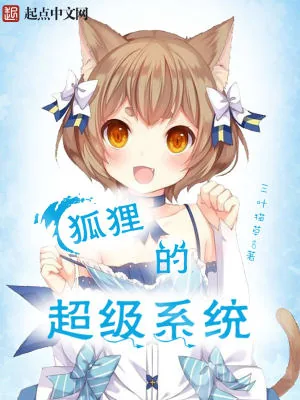 《狐狸的超级系统》小说封面