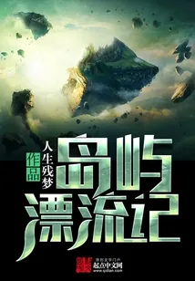 《岛屿漂流记》小说封面