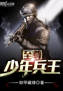 《至尊少年兵王》小说封面