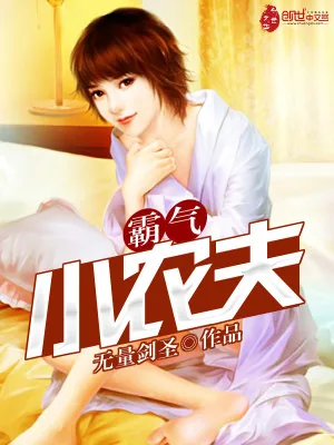 《霸气小农夫》小说封面