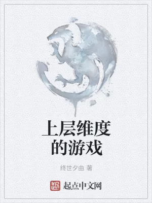 《上层维度的游戏》小说封面