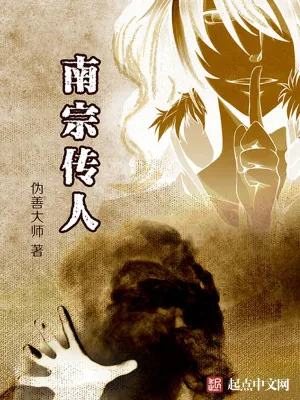 《南宗传人》小说封面