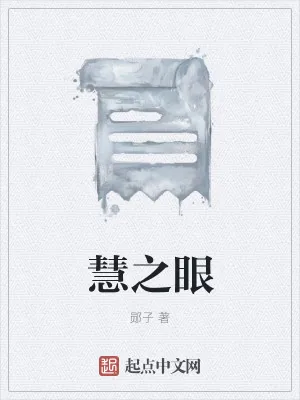 《慧之眼》小说封面