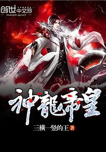 《神龙帝皇》小说封面