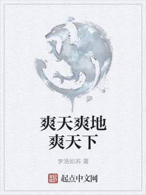 《爽天爽地爽天下》小说封面
