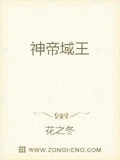 《神帝域王》小说封面