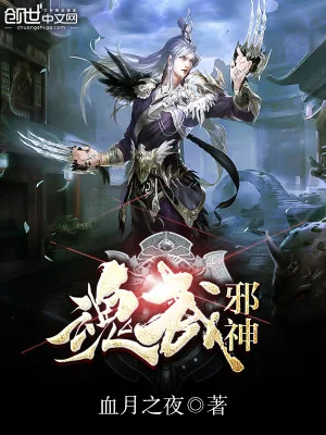 《魂武邪神》小说封面
