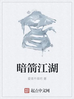 《暗箭江湖》小说封面