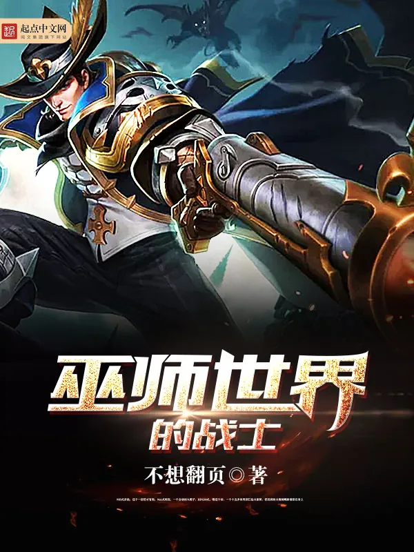 《巫师世界的战士》小说封面