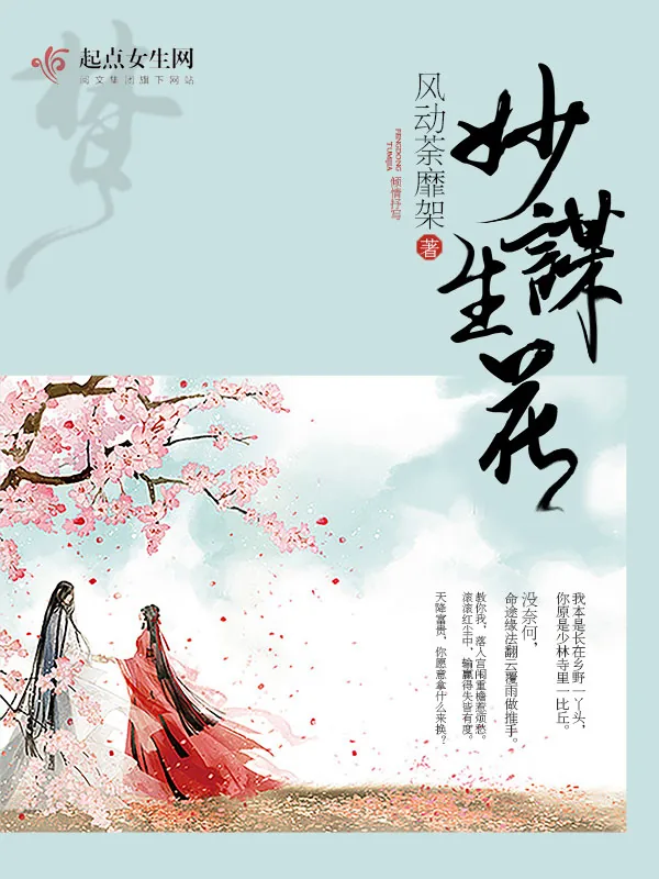 《妙谋生花》小说封面