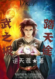 《武之极踏天途》小说封面