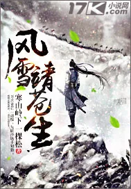 《风雪靖苍生》小说封面