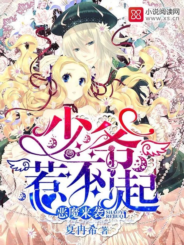 《恶魔来袭：少爷惹不起》小说封面