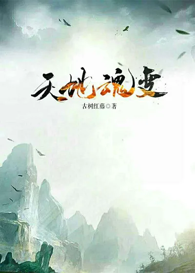 《天地魂变》小说封面