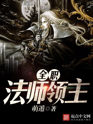 《全职法师领主》小说封面